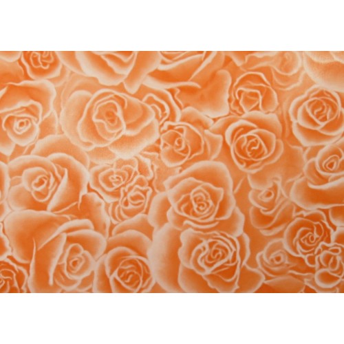 Seda Decorada 49x69cm C/25 folhas